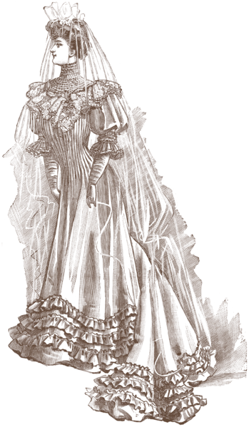 Edwardian Era Bridal Illustration